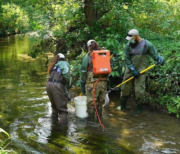 GEMS Services for Land Developers, Ecology