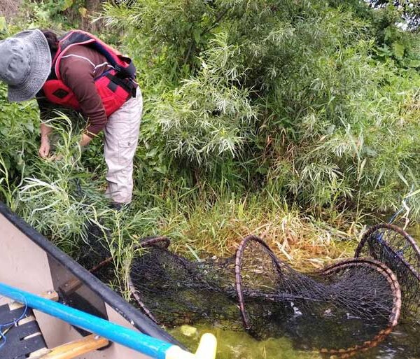 GEMS Services for Land Developers, Ecology