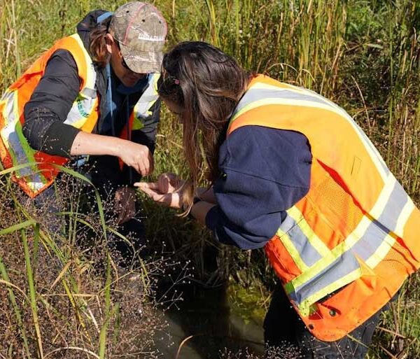 GEMS Services for Land Developers, Ecology