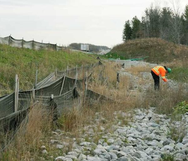 Services for Property Managers/Owners - Ecology