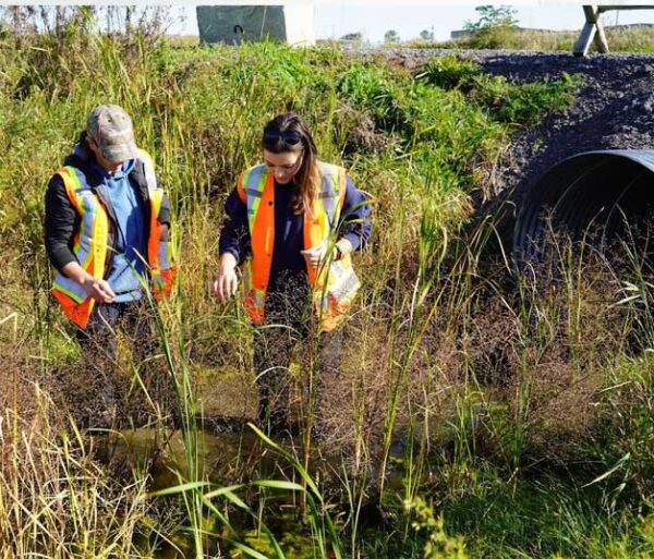 Services for Property Managers/Owners - Ecology