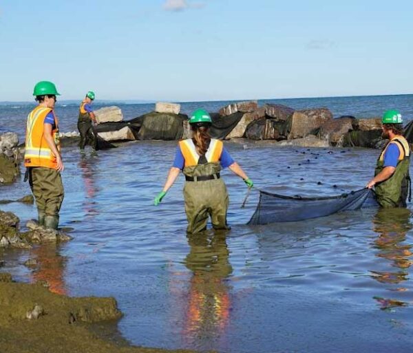 Services for Property Managers/Owners Hydrogeology