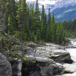 Protecting Our Natural Wealth