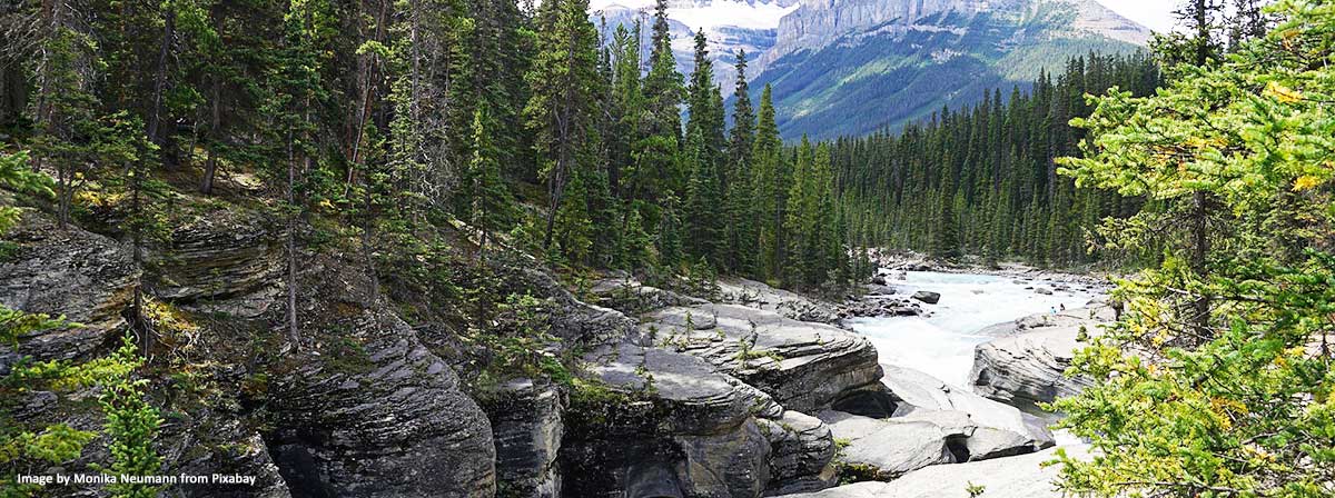 Protecting Our Natural Wealth