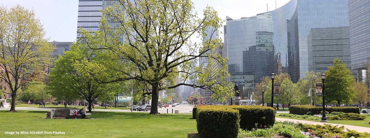 How Environmental Management Services Are Shaping Sustainable Canada