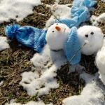 Proactive Environmental Management During Seasonal Transition